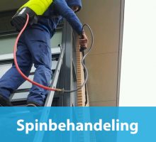 spinbehandeling